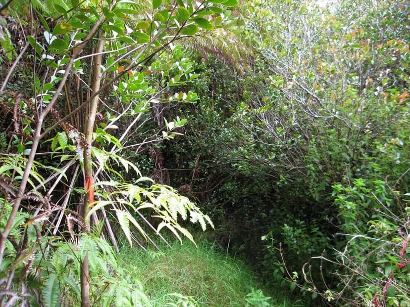 Vacant Land in MOUNTAIN VIEW