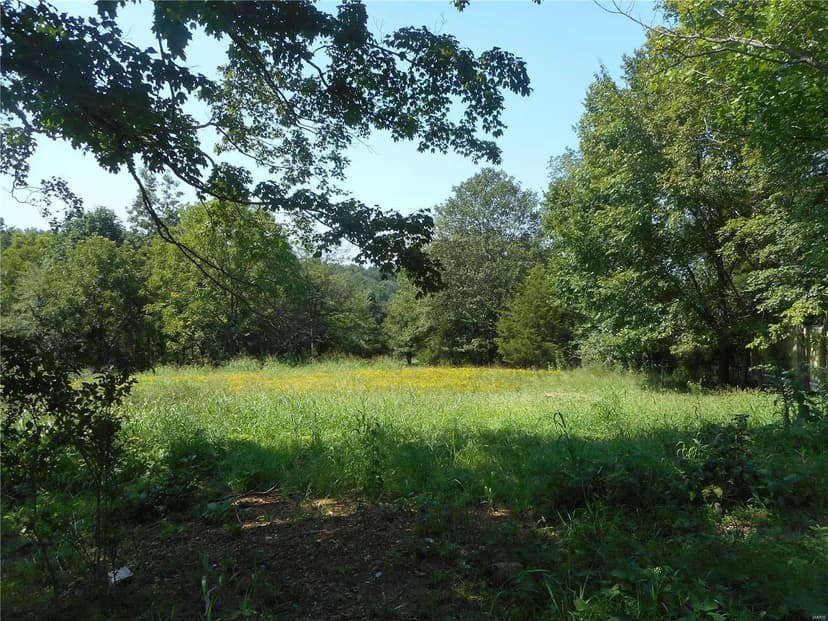 Vacant Land in Piedmont