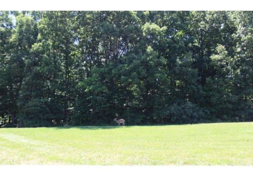 Vacant Land in Charleston