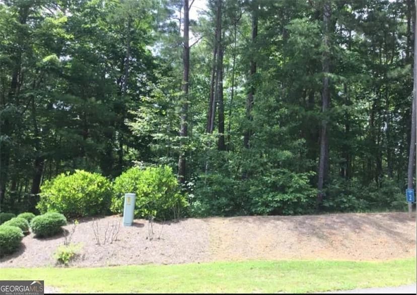 Lots & Land-Other in Ellijay