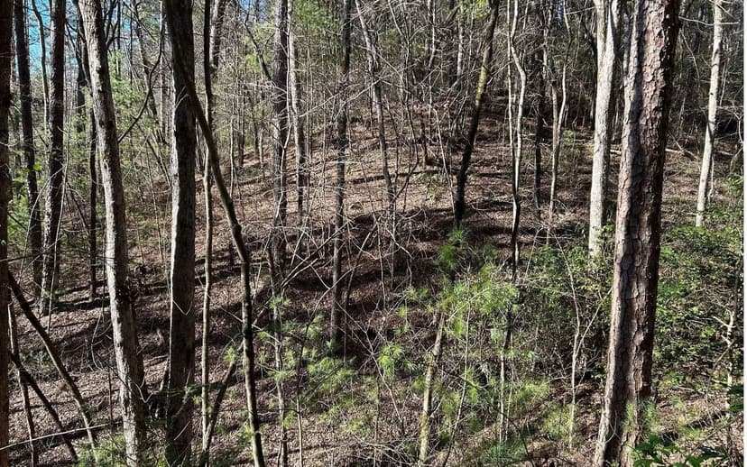 Lots & Land-Other in Ellijay