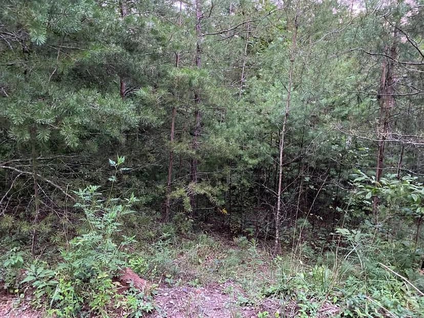 Lots & Land-Other in Ellijay