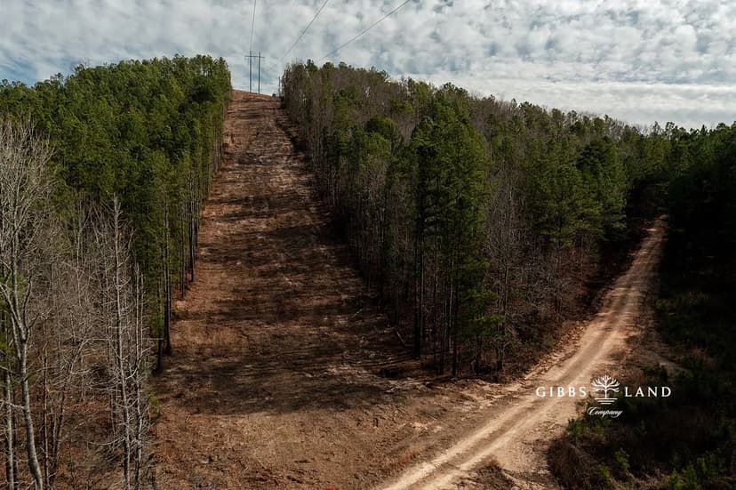 East Alabama Timber Investment - 351 Acres in Cherokee County