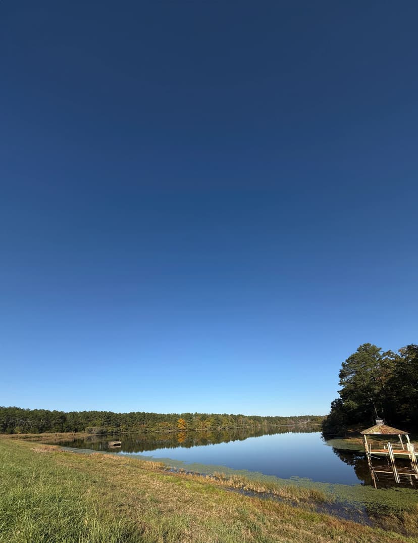 1,278.95 Acres in Lafayette/Yalobusha Counties, MS