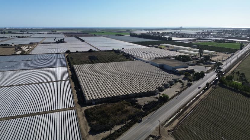 Pleasant Valley Rrd Greenhouses