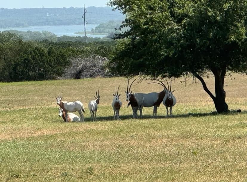 High Fence Game Ranch
