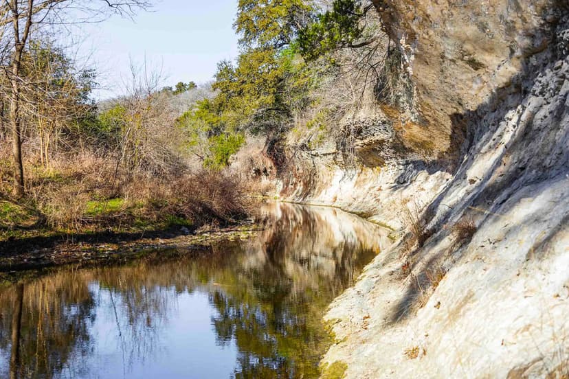 Creekside Sanctuary in Manchaca