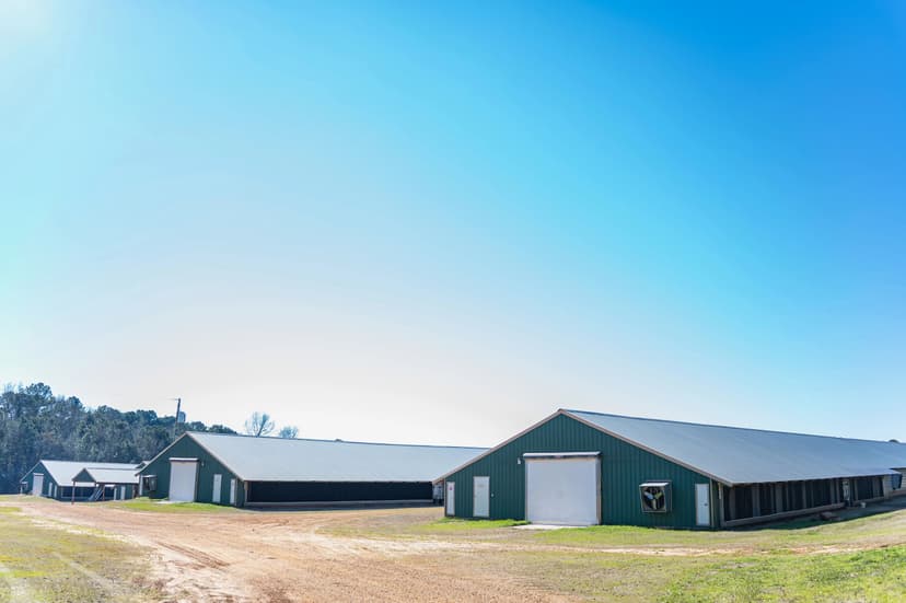 POULTRY FARM FOR SALE IN DUBACH, LA ON 43+/- ACRES