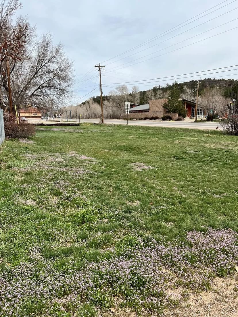 Land Lot in Dolores, Colorado for Sale