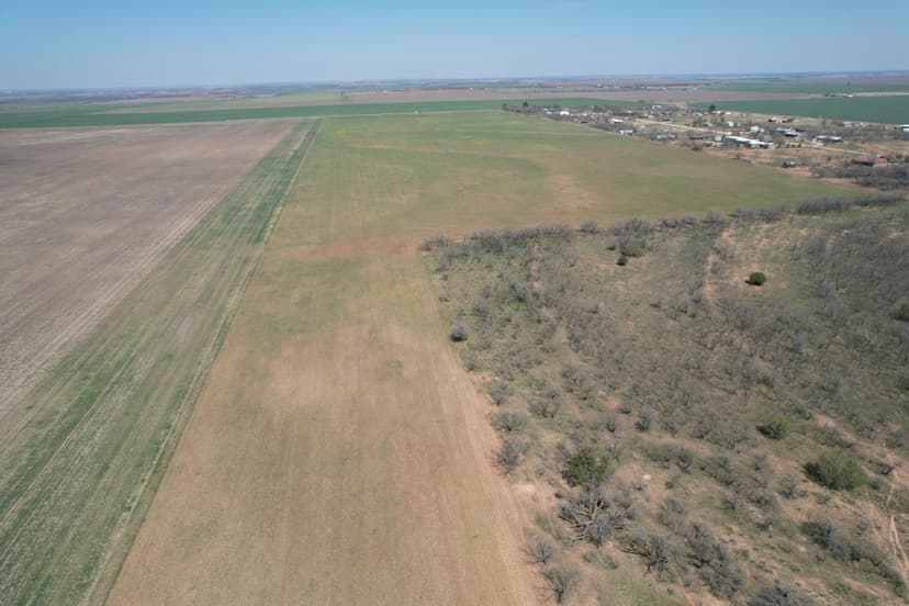Available!! 127.72 +/- Acres, Taylor/Jones County