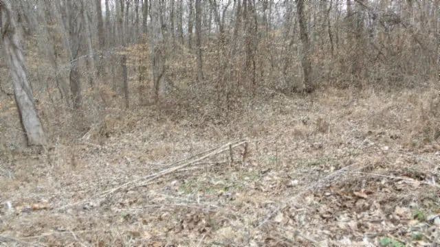 5.51 AC TOTALLY WOODED TOTALLY WOODED / MTN VIEWS / GREAT BUILDING SITES