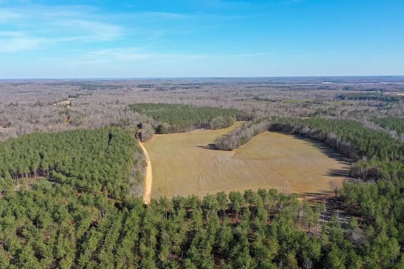 215 Acres to Hunt or Homestead in Hardin County, TN