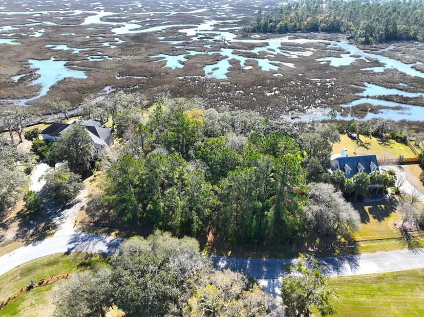 Marshfront Lot for Sale in Bristol Hammock