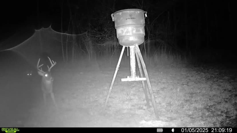 112 Acres With a Cabin in Carroll County, MS