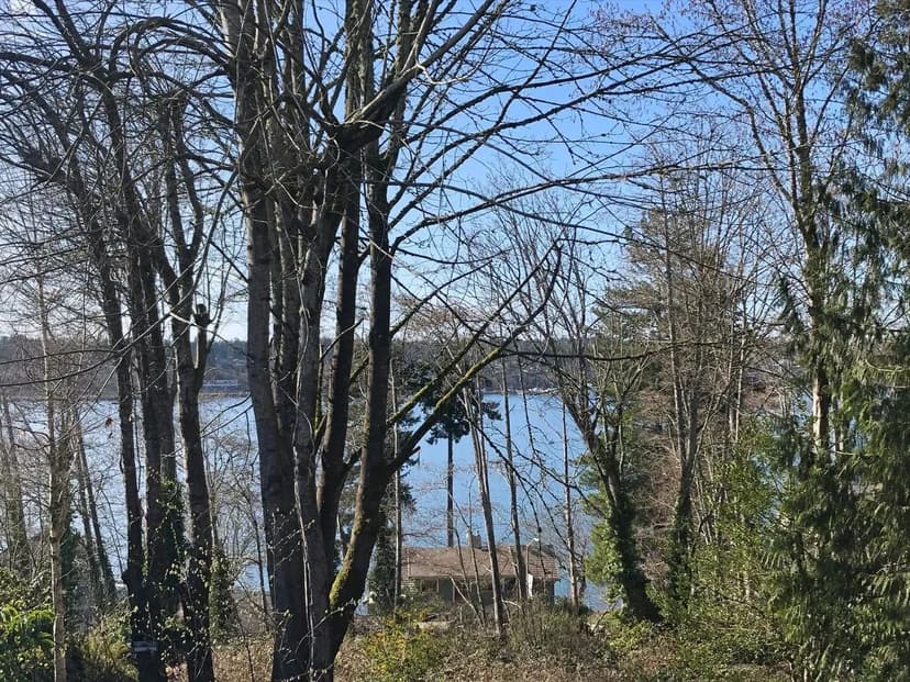 Water Views in Olympia!