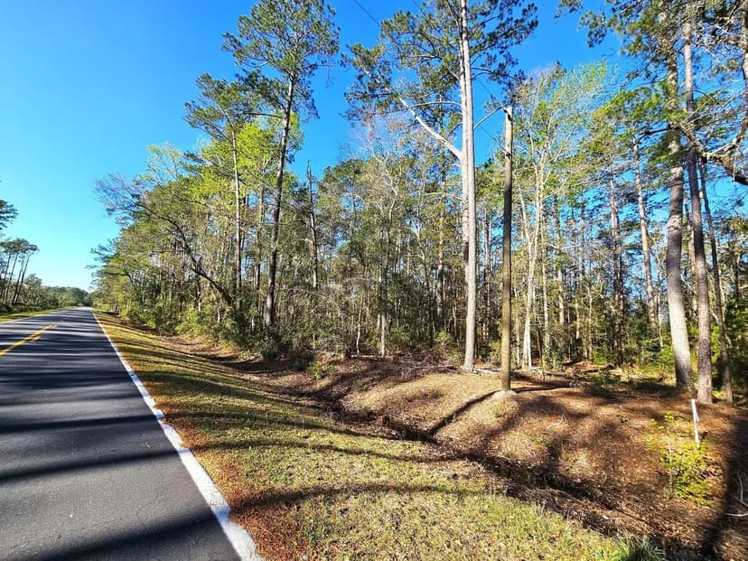 1+ Acre Lot 1 Piney Bluff Camden County, GA possible Owner Financing