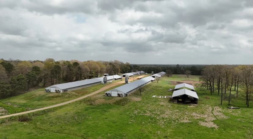 Louisiana 4 House Poultry Farm with 21 Acres and Residence