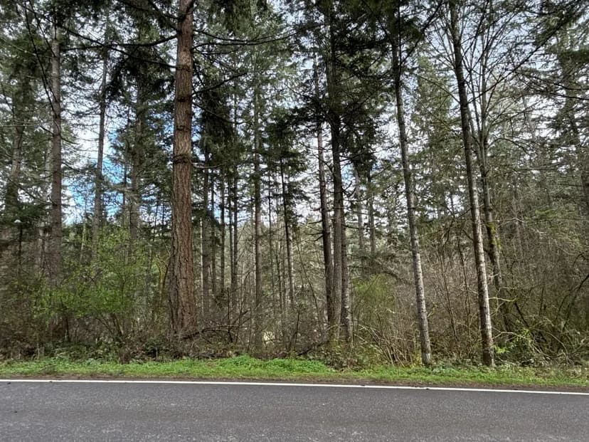 0.215 acres in Yelm (Clearwood)