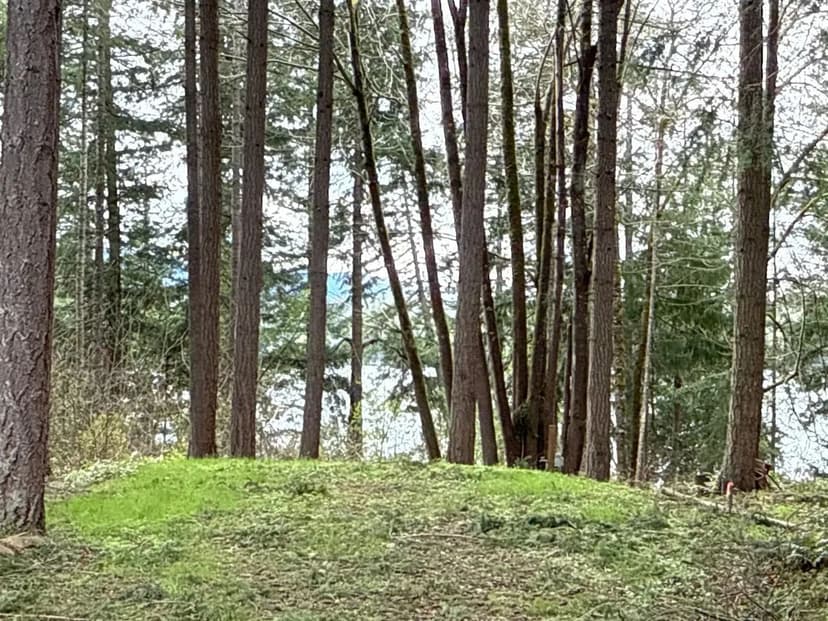 0.181 acres in Yelm (Clearwood)