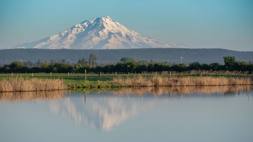 Island Ranch Pasture