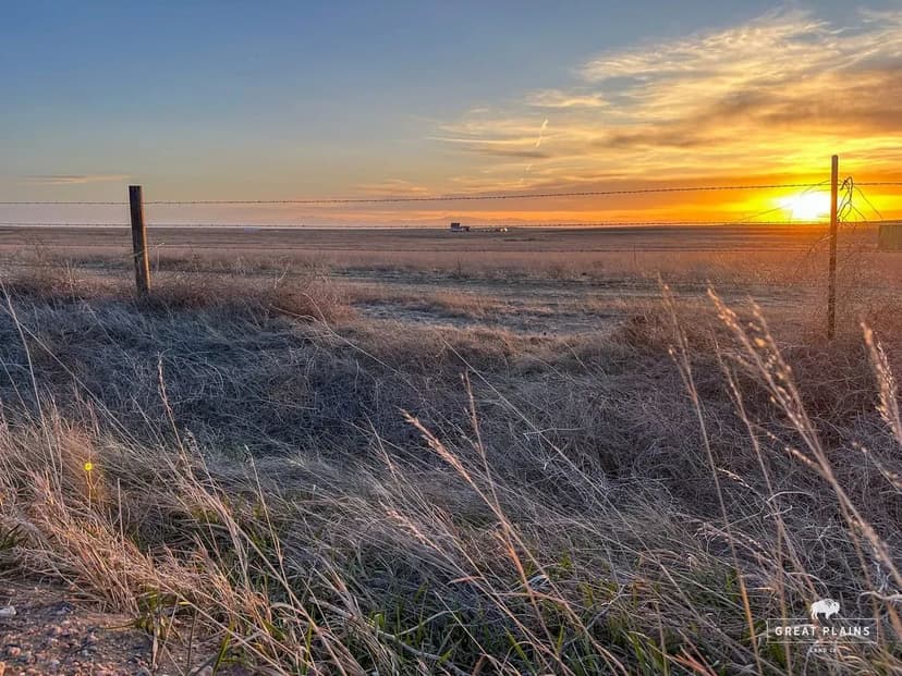 35 Acre Homestead Opportunity - Weld County, Colorado