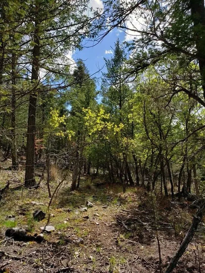 36 Harris Canyon Road