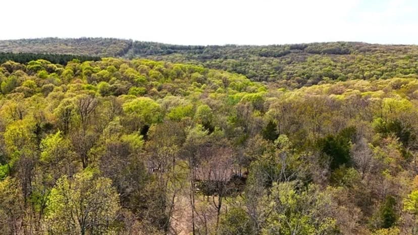 National Forest Cedar Cabin in Northern Crawford Co, Arkansas