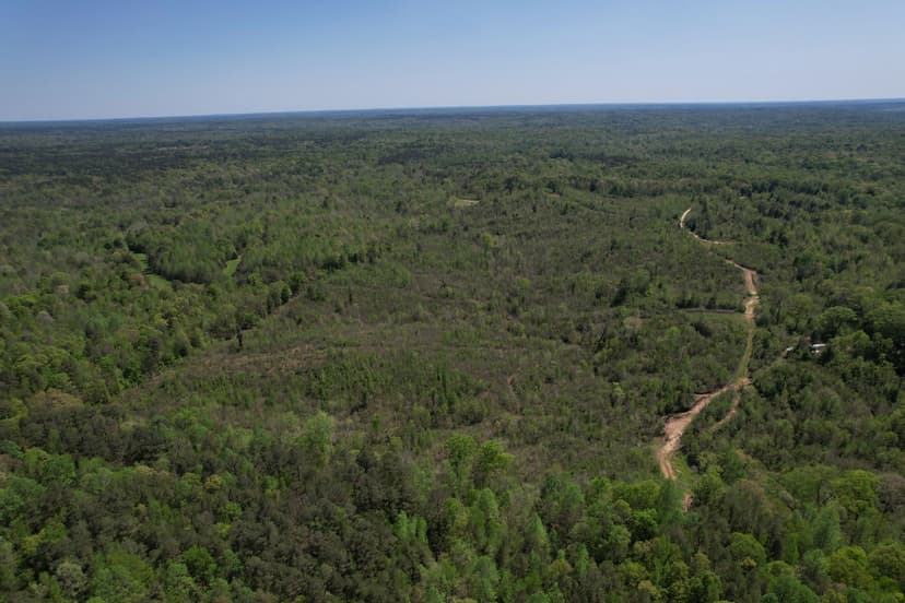 120 Acres Holmes County, MS