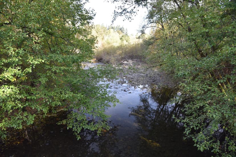 48 Acres on Mill Creek - (HOUSE ON 5.33 ACRE SALE PENDING - 48 ACRES +/- AVAILABLE)