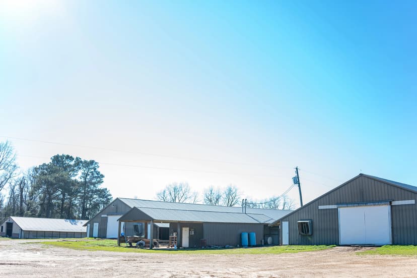 POULTRY FARM FOR SALE IN DUBACH, LA ON 29+/- ACRES