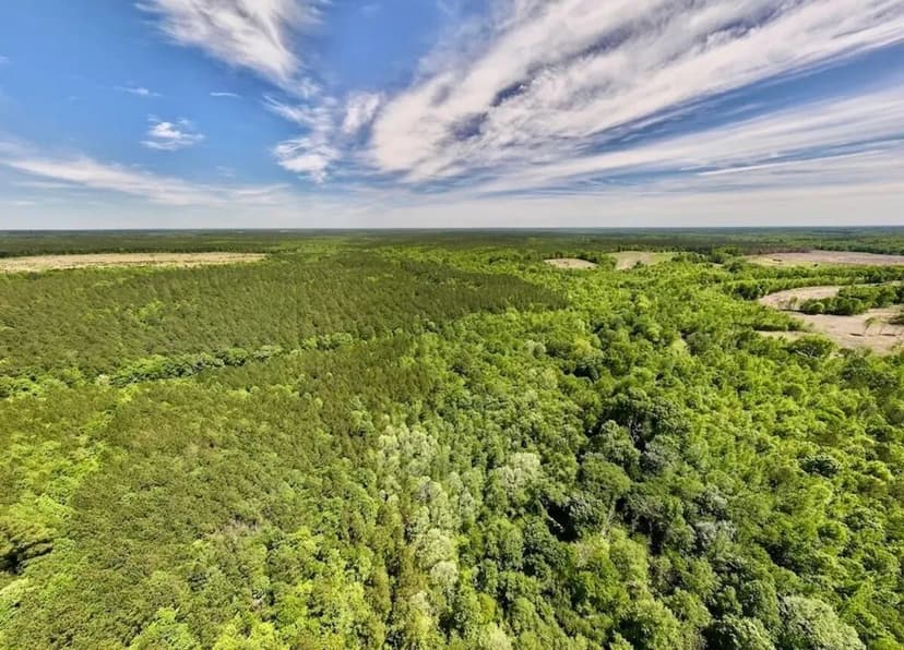 UNDER CONTRACT!! 18.75 acres of Creekfront Hunting and Timberland For Sale in Warren County NC!