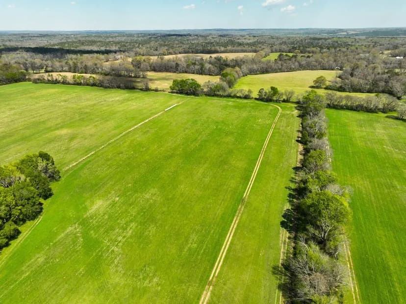 Countryside Homesite Opportunity in Booth, AL (Lot 2)
