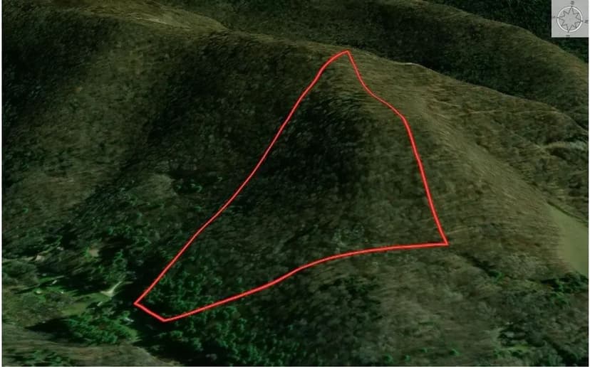 POTTER COUNTY - TROUT BROOK RD. - 35 +/- ACRES