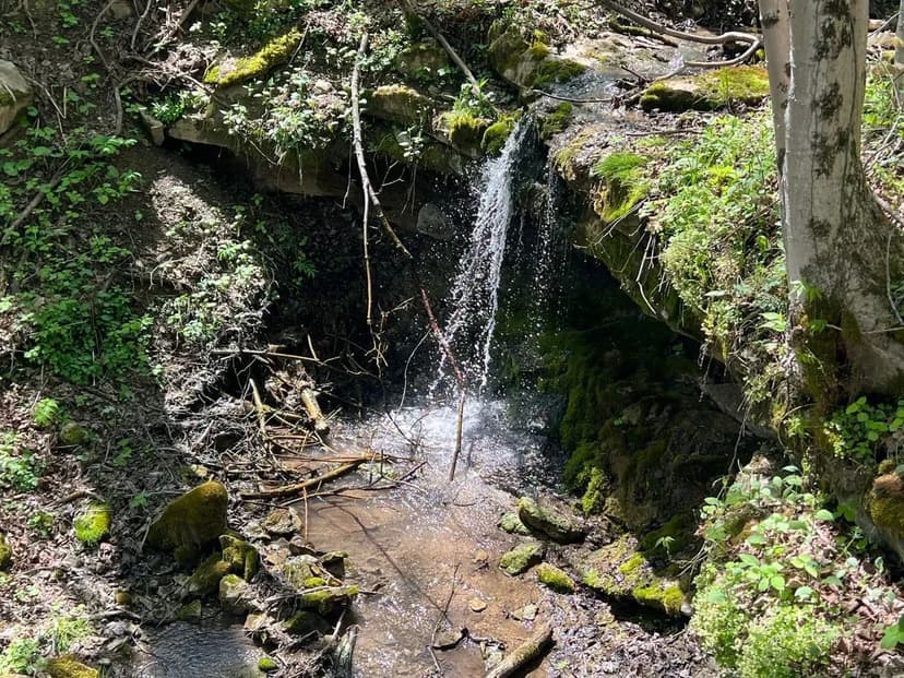 Kelly Hollow Rd., Allegheny County - 160 +/- acres