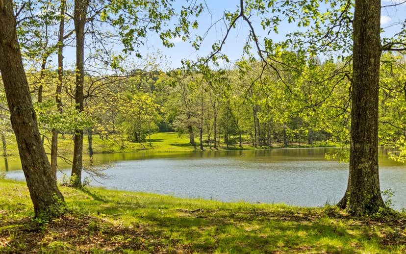 Breathtaking 384± ACRES! Protected Natural Beauty