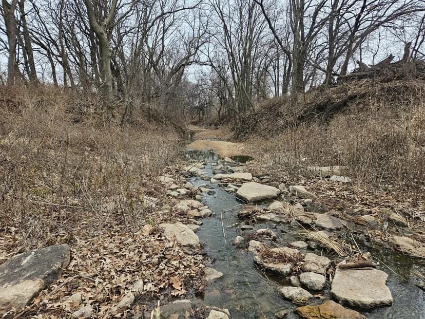 Kirk’s Smoky Hill River Bottom