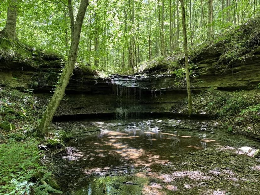 HUNTING CAMP WITH CABIN ON 171 ACRES