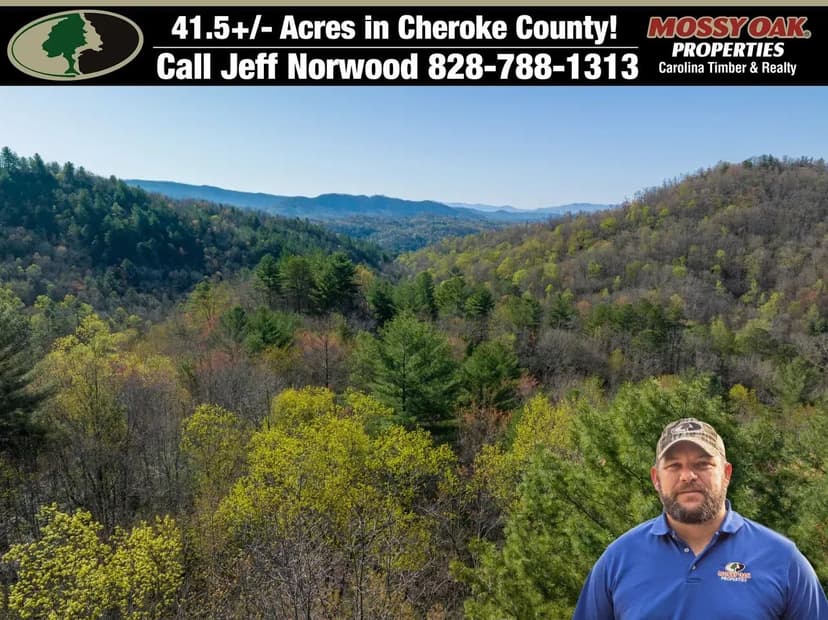 41.5+/- Acres in Cherokee County!