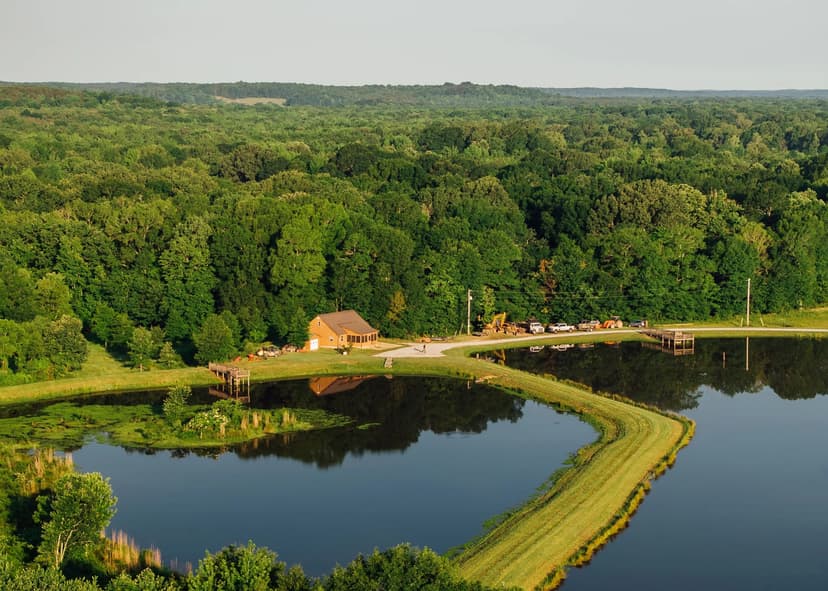 669.03 Acres with a Cabin in Lafayette County, MS