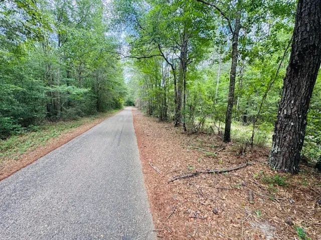 45.9 Acres on Carters Creek Road | Tylertown, MS