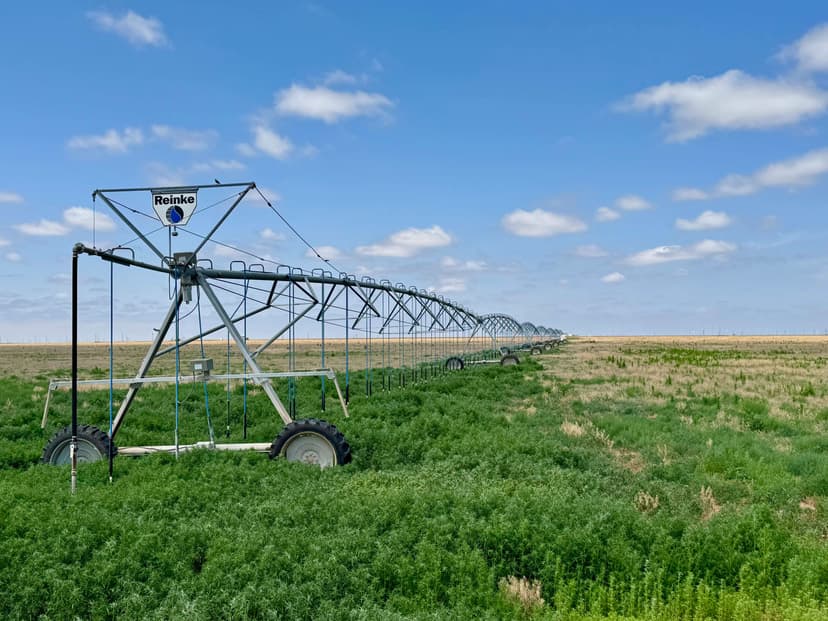 Swisher County Irrigated Farm—Price Reduced
