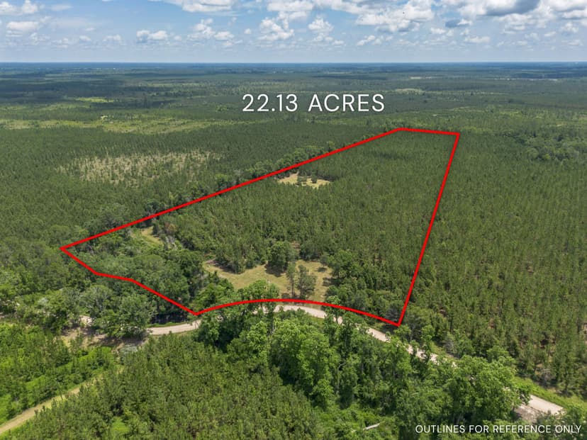 21.34 Acres - Oriole Road Alma, GA