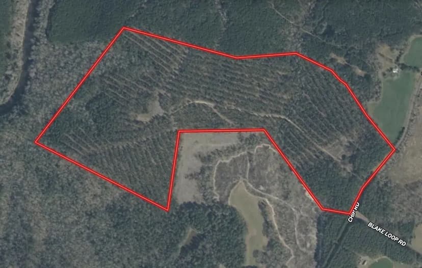 UNDER CONTRACT!! 76.06 acres of Timber/Recreation/Homestead Land For Sale in Montgomery County, NC!