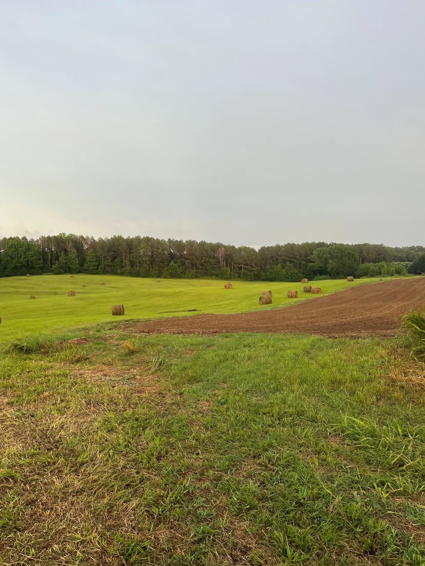 500 Acres in Holmes County in Lexington, MS