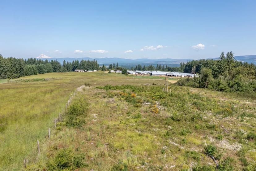 Turn-Key Poultry Operation