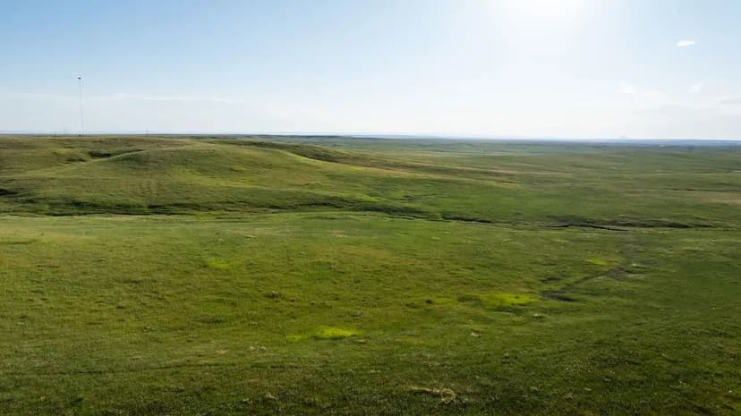 Meade County Summer Grass