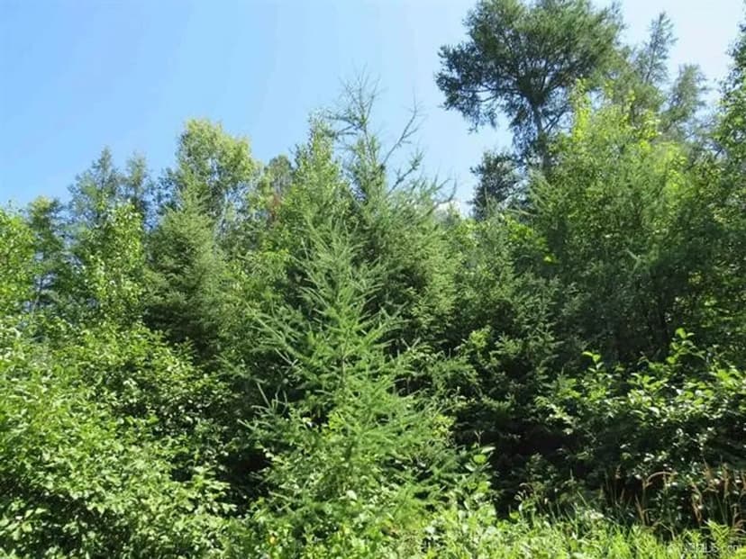 Michigan Hunt/Fish Cabins 50151265