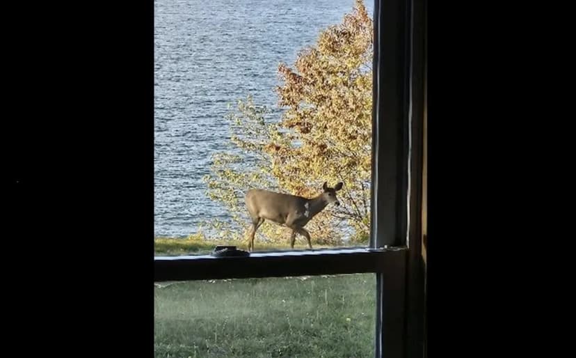 Lake Superior Barndominium 50152446