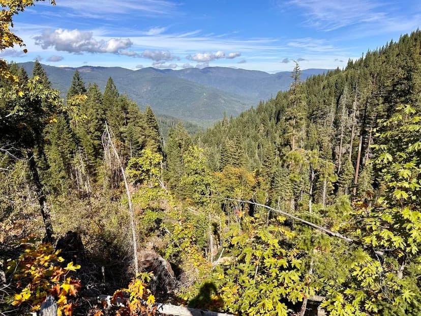 W. Williams Creek Rd-160 Acres