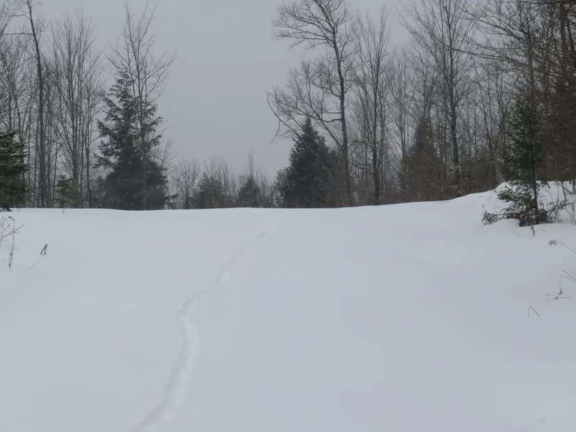 Michigan Recreational Property 50165363